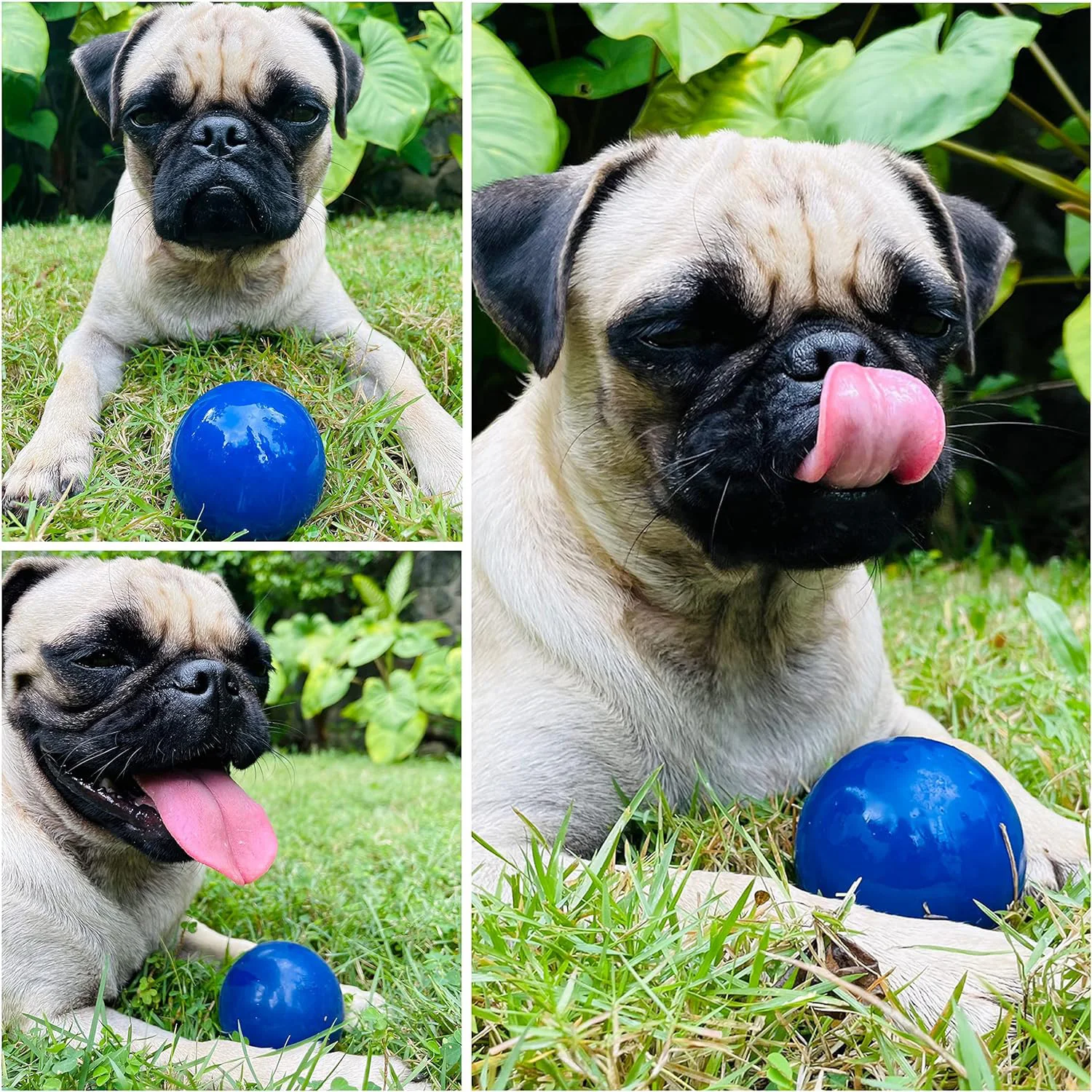 SuperChewy Tough Dog Ball Toy Strong Natural Rubber Great Fetch Toy Durable Chew Toy for Aggressive Chewers Large Breed Tested - Image 6